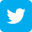 tl_files/files/customs/icon-twitter.png